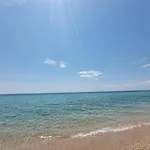 Lucas3 Lux * Flogita