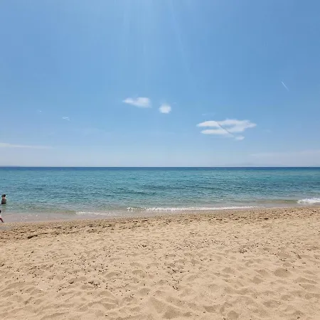 Lucas3 Lux Flogita